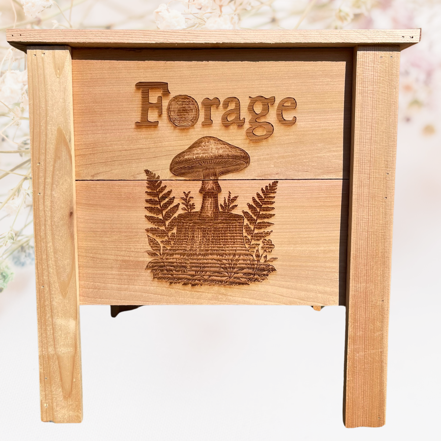 Forage Small Cedar Planter