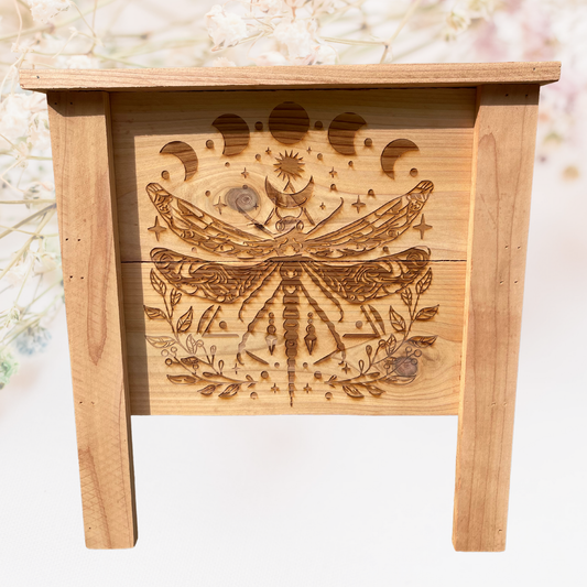 Moon Dragonfly Small Cedar Planter