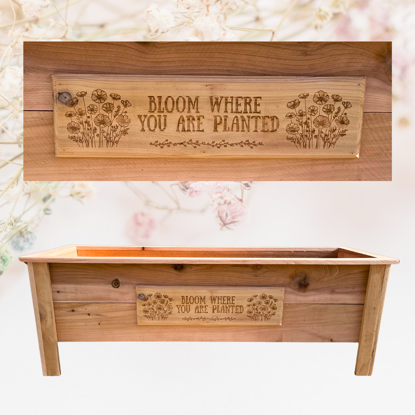 Bloom Where Planted Poppy Large Cedar Planter