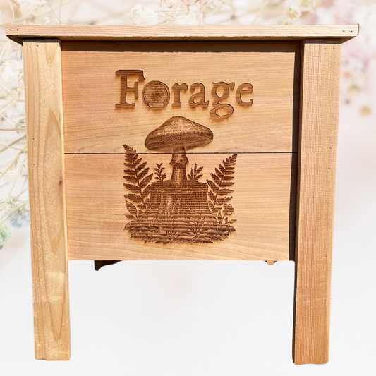 Forage Small Cedar Planter